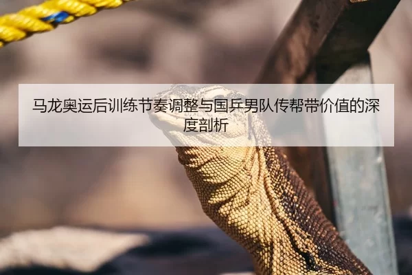 马龙奥运后训练节奏调整与国乒男队传帮带价值的深度剖析