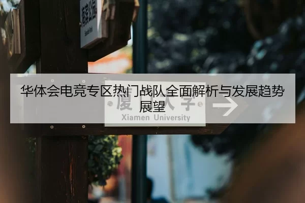 华体会电竞专区热门战队全面解析与发展趋势展望