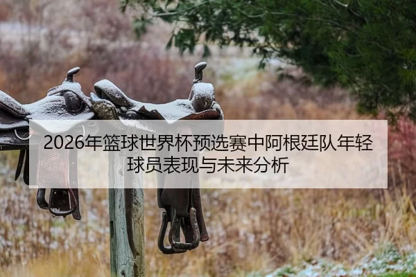 2026年篮球世界杯预选赛中阿根廷队年轻球员表现与未来分析