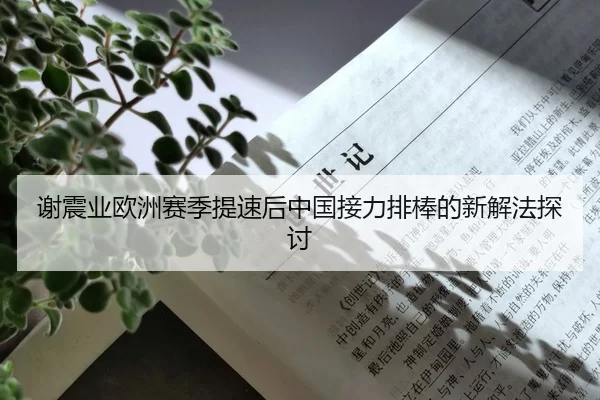 谢震业欧洲赛季提速后中国接力排棒的新解法探讨