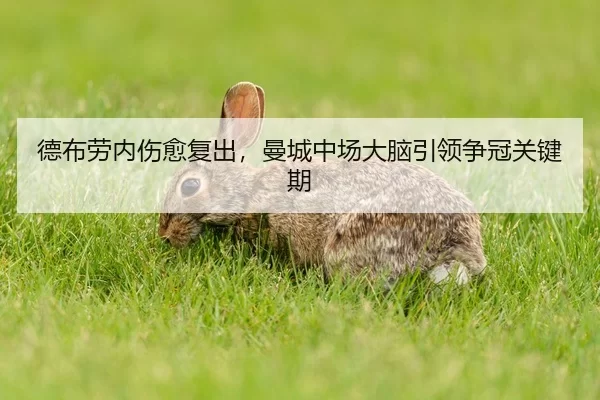 德布劳内伤愈复出，曼城中场大脑引领争冠关键期